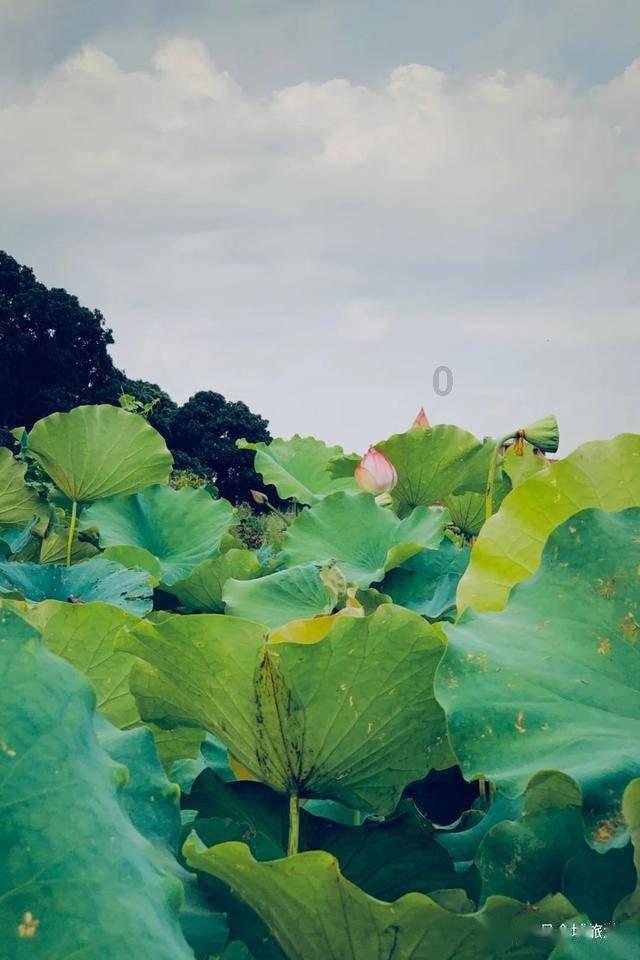 蒸汽时代的公主