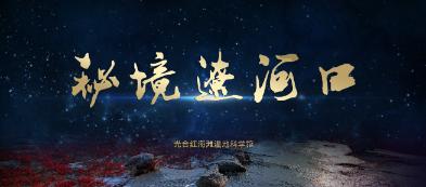 【视频】南京白鹭洲公园:灯耀秦淮 喜迎新春