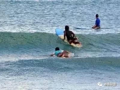 诱捕小浣熊