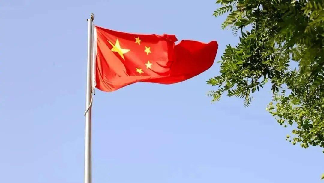 逃离仿真森林